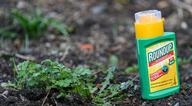 Glyphosate 41% SL
